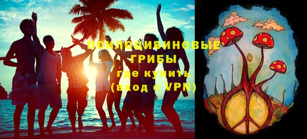 амф Богданович