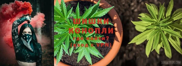 амф Богданович